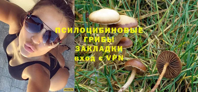 Галлюциногенные грибы GOLDEN TEACHER Нижняя Тура